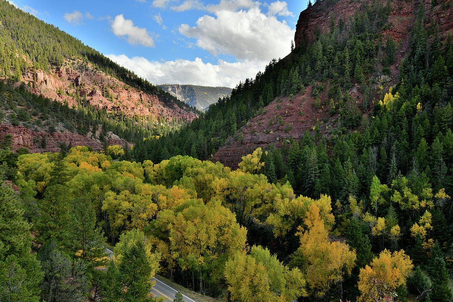 Fall Colors along Highway 145 near Sawpit CO Photograph by Ray Mathis
