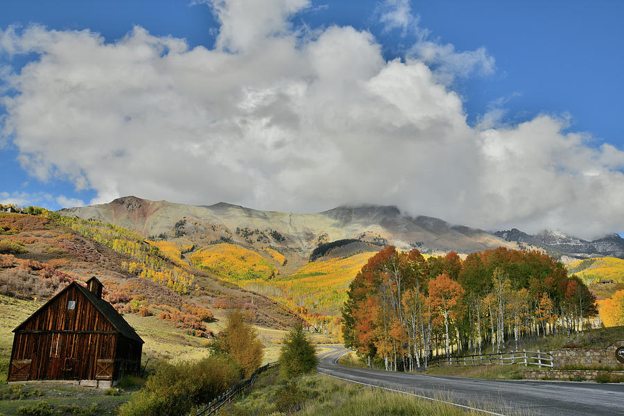 Fall Colors along Last Dollar Road above Telluride Photograph by Ray Mathis