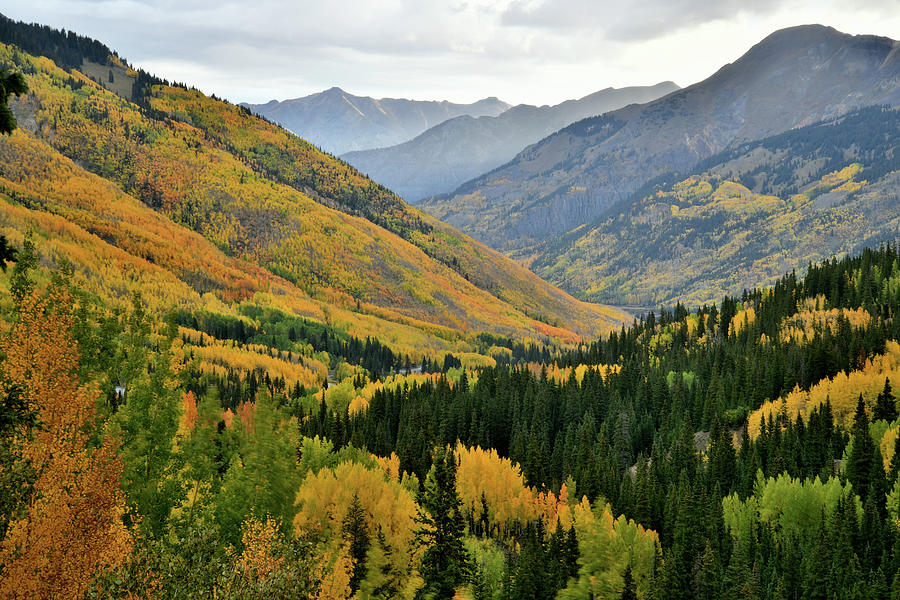 Fall Colors along Million Dollar Highway Photograph by Ray Mathis