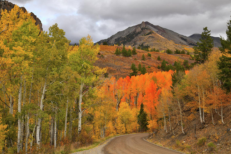 Fall Colors along Winding Last Dollar Road Photograph by Ray Mathis
