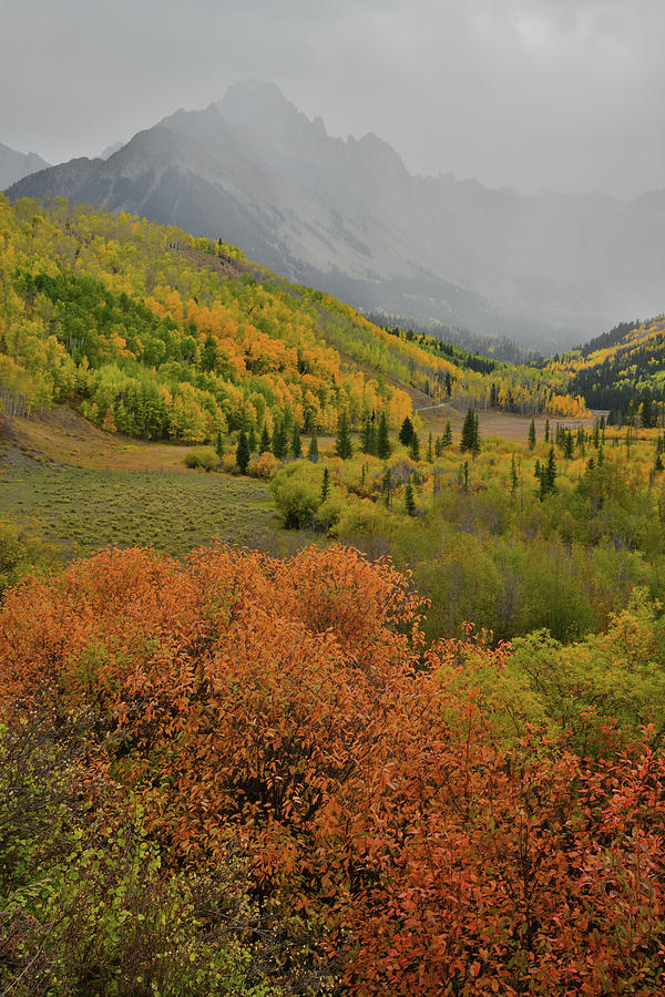 Fall Colors and a Barely Visible Mt. Sneffels Photograph by Ray Mathis