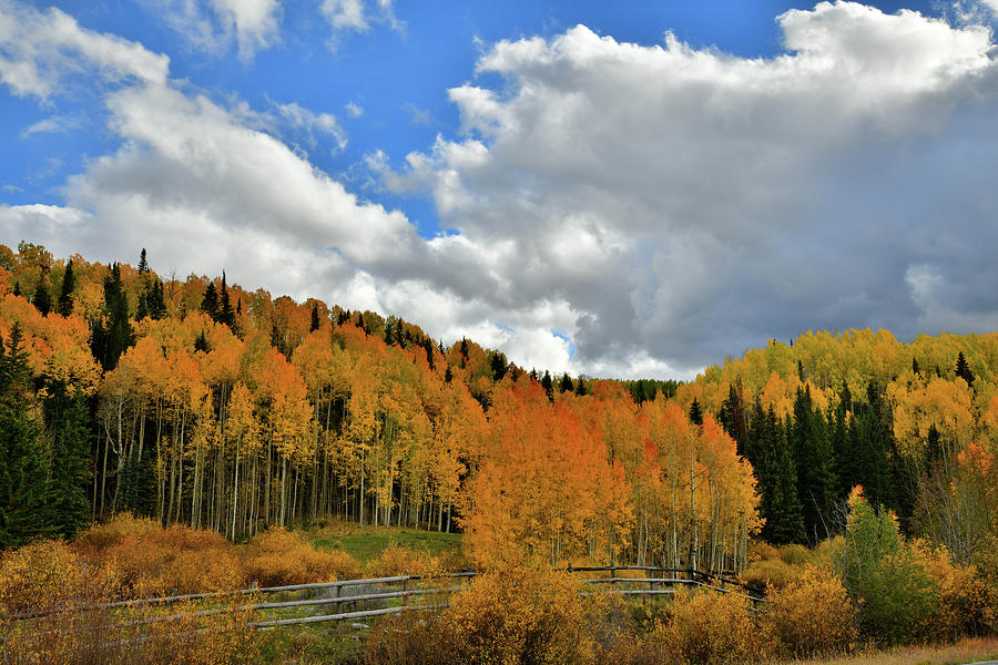 Fall Colors and Clouds along Highway 145 Photograph by Ray Mathis