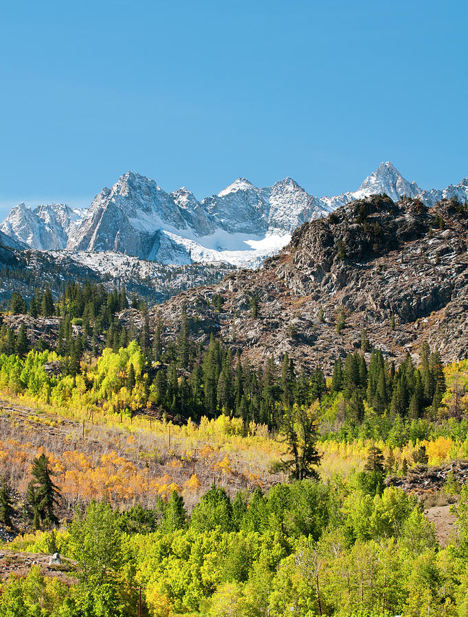 Fall Colors And Fresh Snows On The Photograph by Josh Miller Photography
