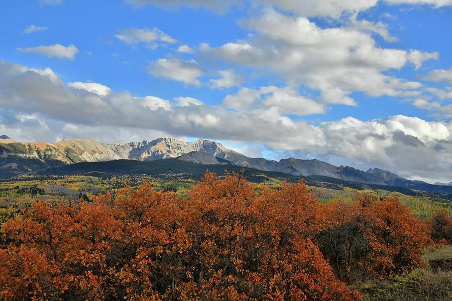 Fall Colors and Mountain Skyline from Telluride Airport Photograph by Ray Mathis