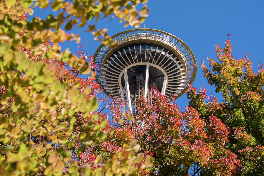 Fall Colors And The Space Needle  Photograph by Matt McDonald