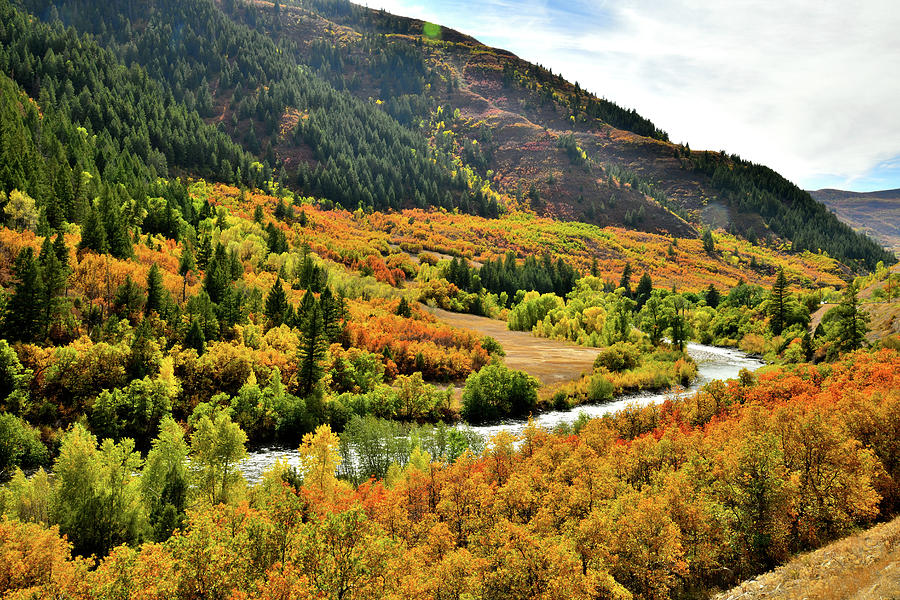 Fall Colors as Seen from Highway 133 Photograph by Ray Mathis