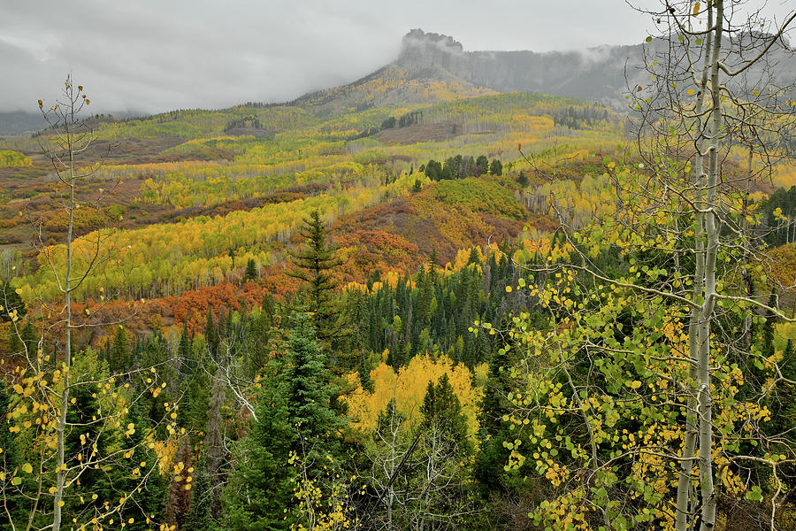 Fall Colors Ascending to Owl Creek Pass Photograph by Ray Mathis