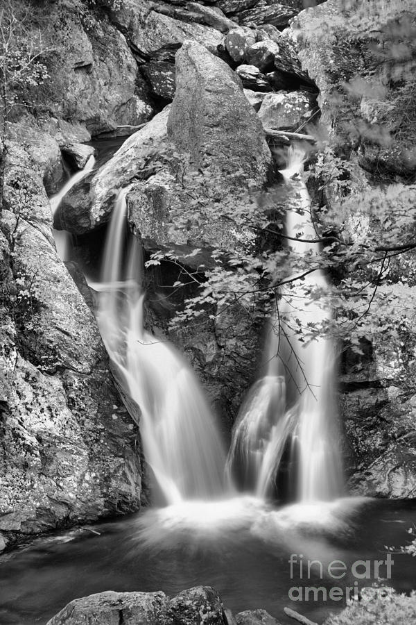 Fall Colors At Bash Bish Falls Black And White Photograph by Adam Jewell