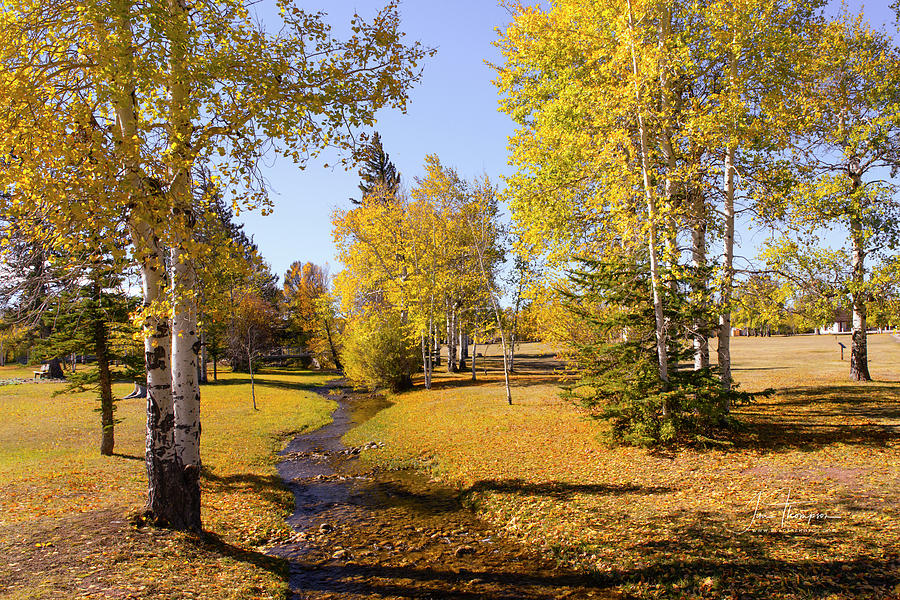 Fall Colors at Fort Bridger Photograph by Jim Thompson