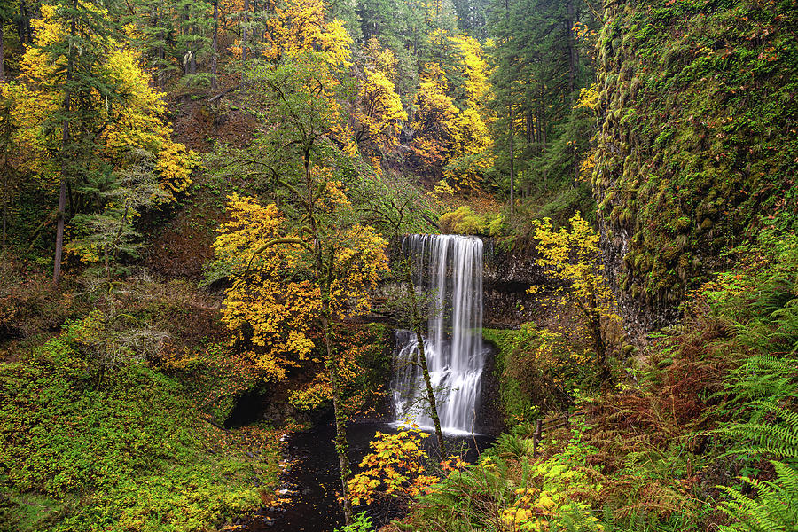 Fall colors at the falls Photograph by Ulrich Burkhalter