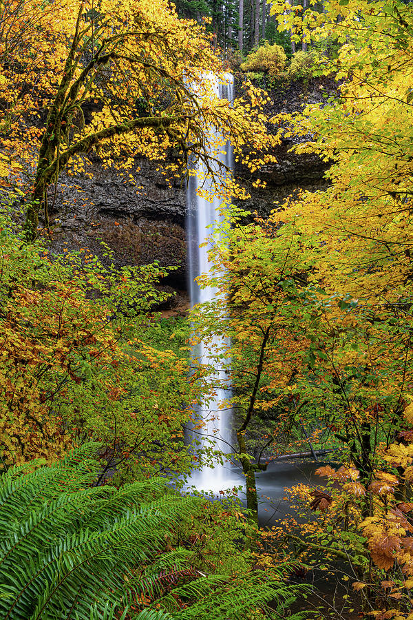 Fall colors at the Southfalls Photograph by Ulrich Burkhalter