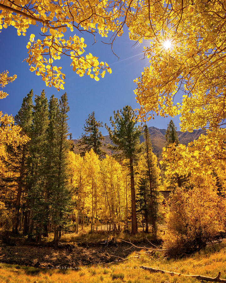 Fall Colors At The Twin Lakes Photograph by Nazeem Sheik - Fine Art America