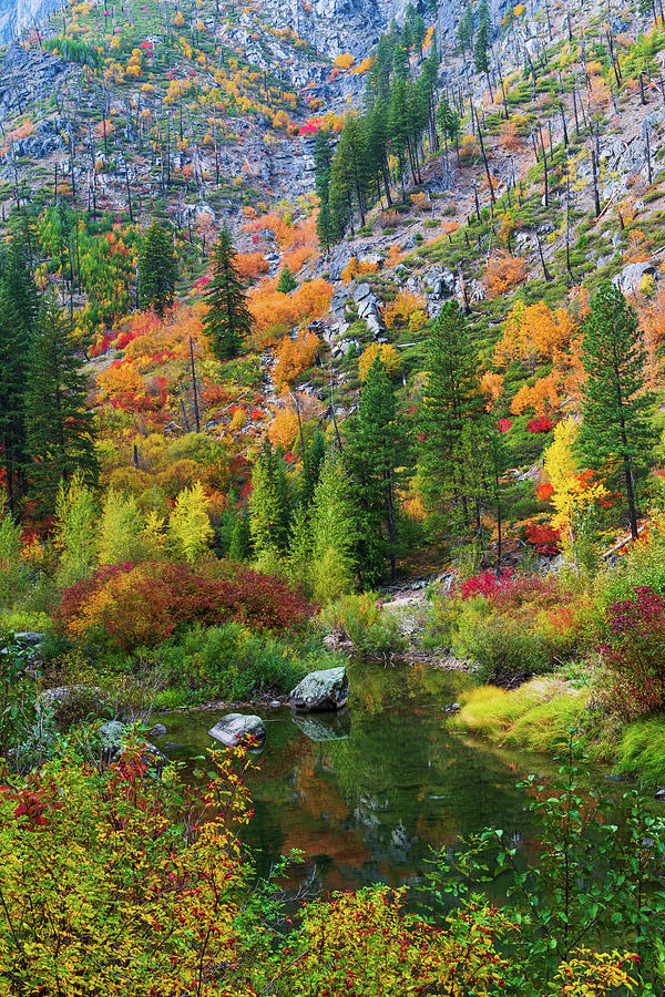 Fall colors at Tumwater Canyon WA Digital Art by Michael Lee