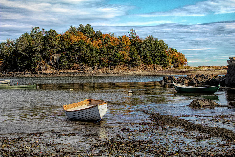 Fall Colors By The Seashore Photograph
