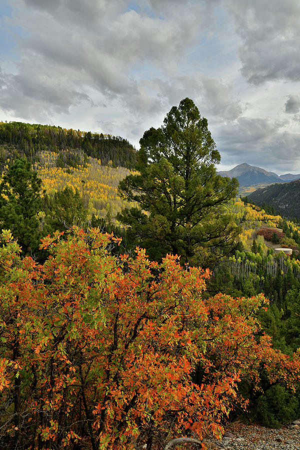 Fall Colors Frame Sunshine Mountain Photograph by Ray Mathis