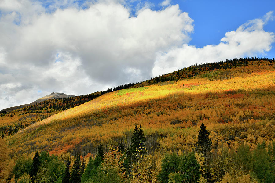 Fall Colors Glow along Million Dollar Highway Photograph by Ray Mathis