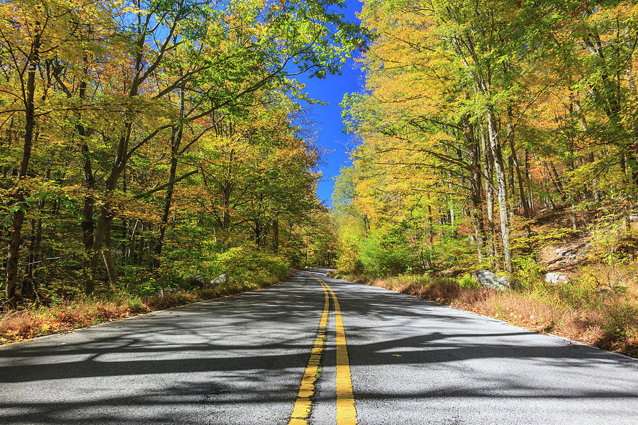 Fall Colors, Harriman State Park, Ny Digital Art by Milton Photography