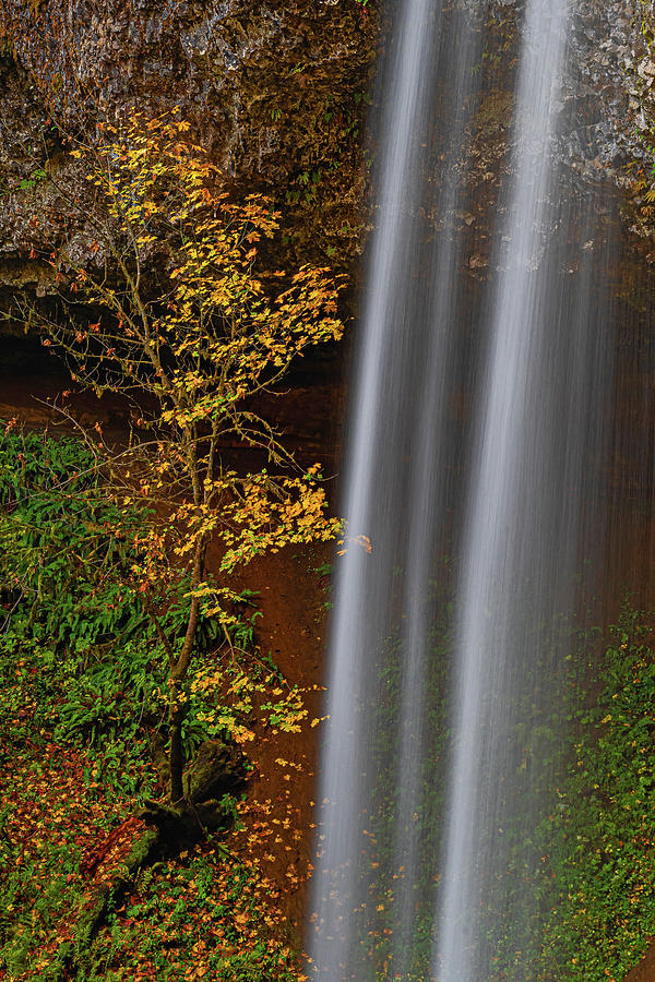 Fall colors in the shadow of the falls Photograph by Ulrich Burkhalter