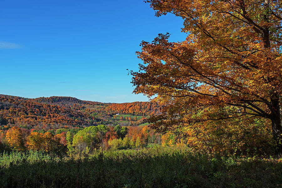 Fall Colors in Woodstock VT Vermont Photograph by Toby McGuire