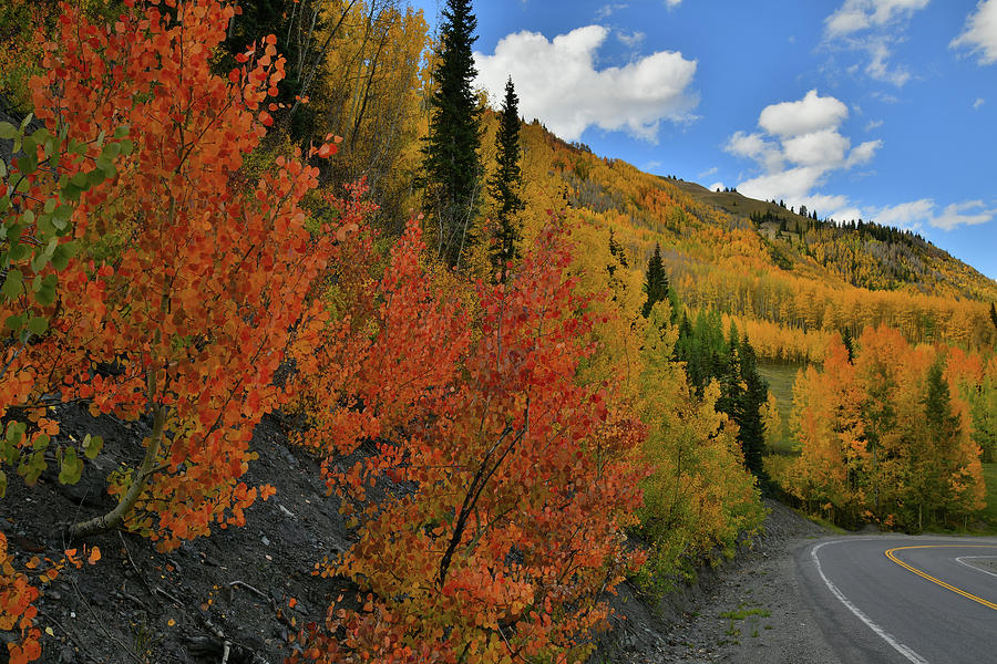 Fall Colors Line Million Dollar Highway Photograph by Ray Mathis