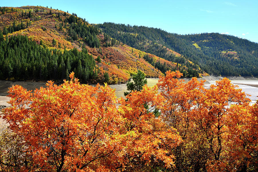 Fall Colors Line Reservoir along Highway 133 Photograph by Ray Mathis