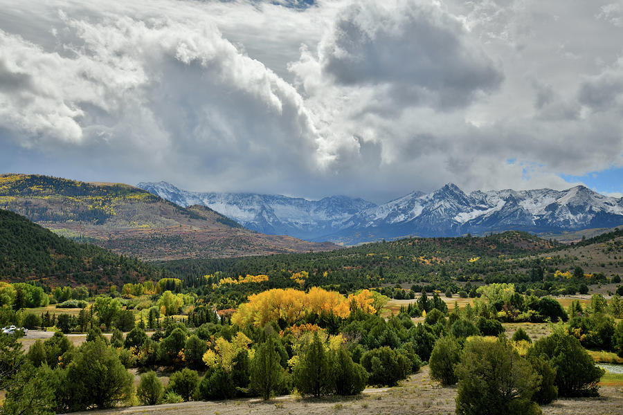 Fall Colors near Dallas Divide Photograph by Ray Mathis