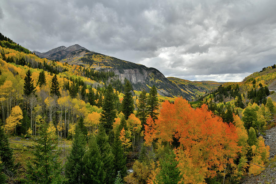 Fall Colors near Ilium Colorado Photograph by Ray Mathis