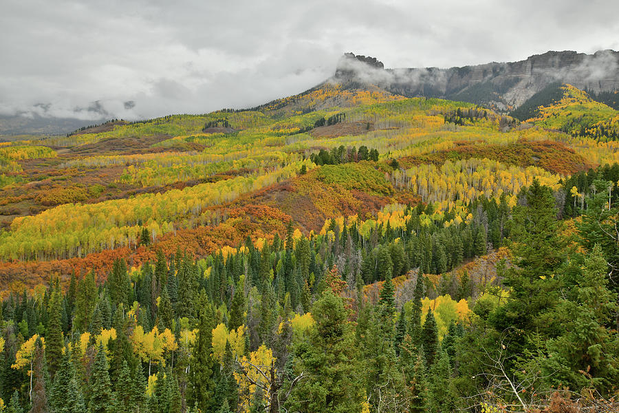 Fall Colors near Peak at Owl Creek Pass Photograph by Ray Mathis