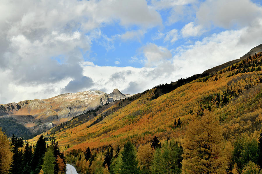 Fall Colors near Red Mountain Pass Photograph by Ray Mathis