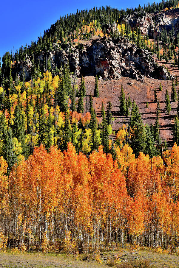 Fall Colors Near Silverton Photograph by Ray Mathis