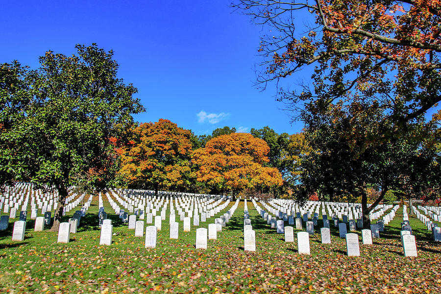 Fall Colors of Arlington National Cemetery Photograph by William E Rogers