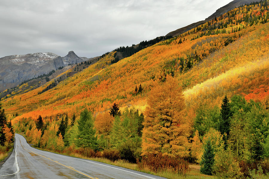 Fall Colors of Million Dollar Highway  Photograph by Ray Mathis