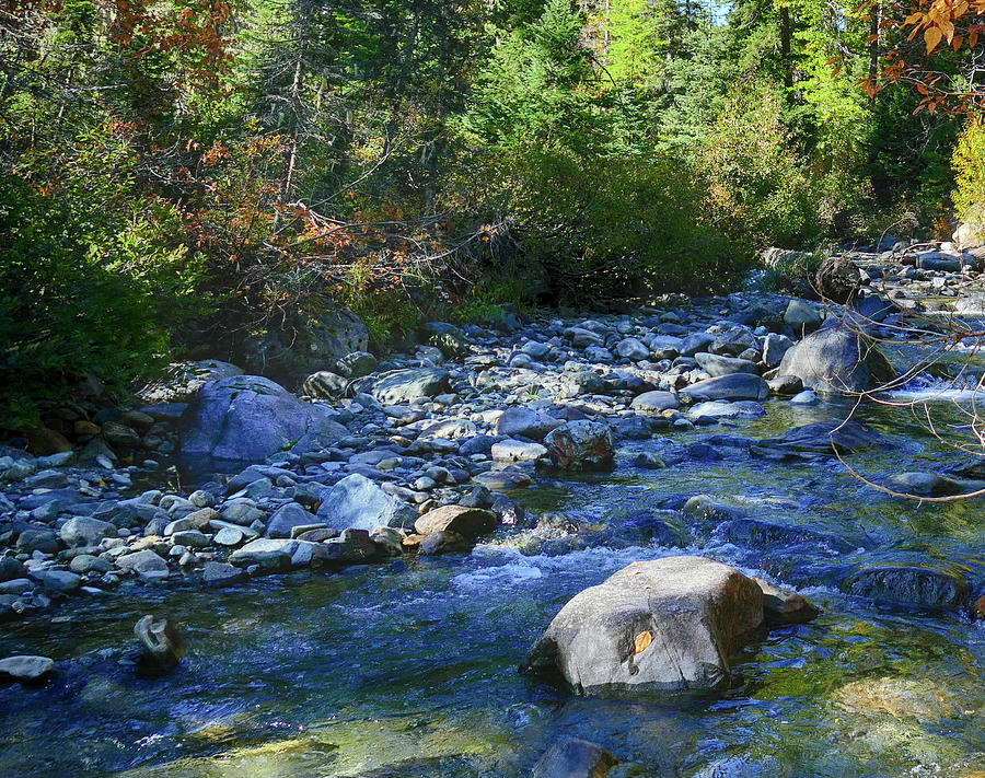 Fall colors of trees along a stream  Photograph by Steve Estvanik