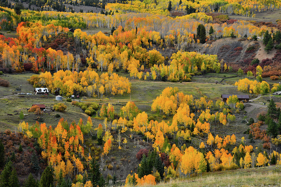 Fall Colors on Last Dollar Road Ranches Photograph by Ray Mathis
