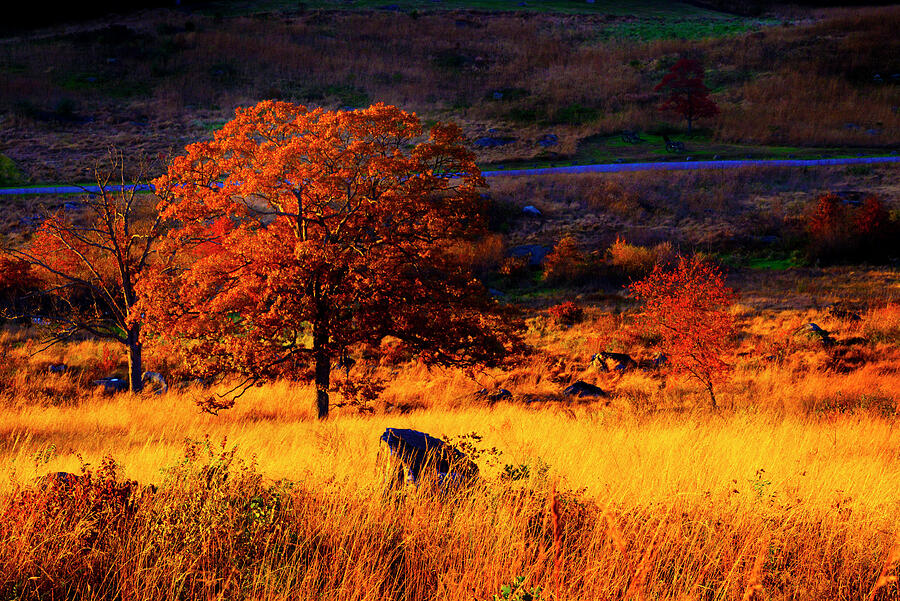 Fall colors on the Battlefields Photograph by Paul W Faust - Impressions of Light
