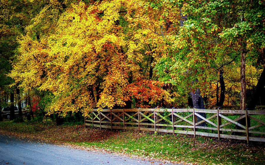 Fall Photograph - Fall Colors Over Fence by Brian Wallace