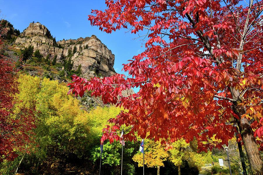 Fall Colors Peak at Hanging Lake Rest Stop Photograph by Ray Mathis