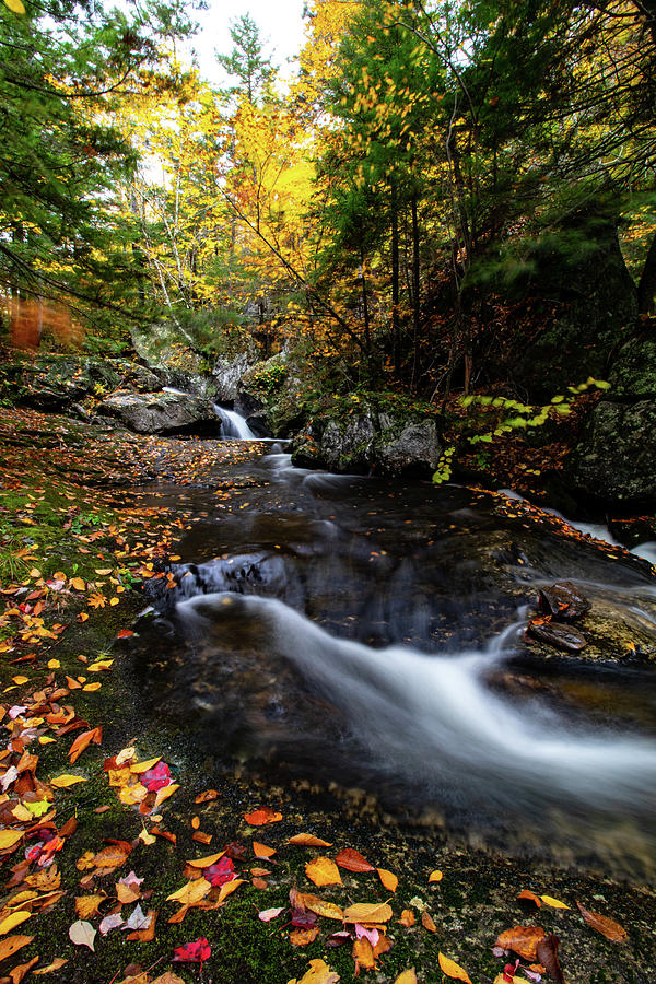 Landscape Photograph - Fall colors Sandwich New Hampshire by Jeff Folger