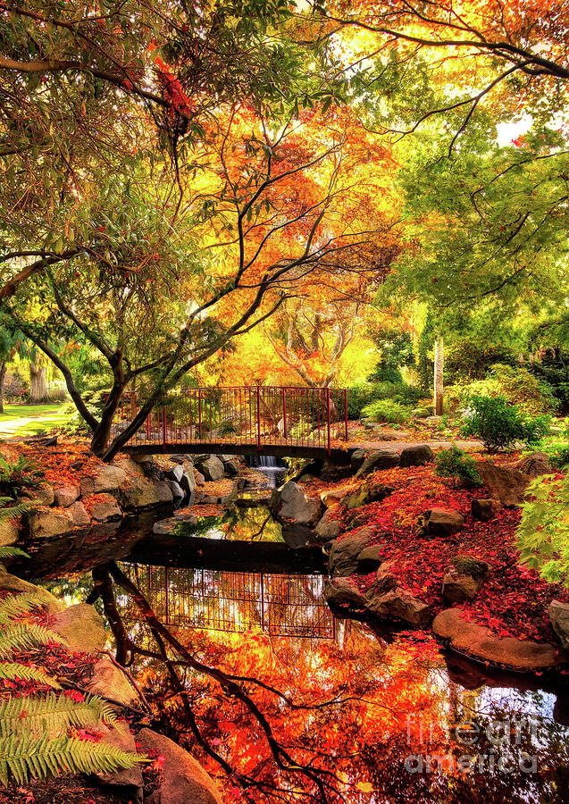 Fall Colors in the Park by Sue Harper Fall Colors in the Park by Sue Harper