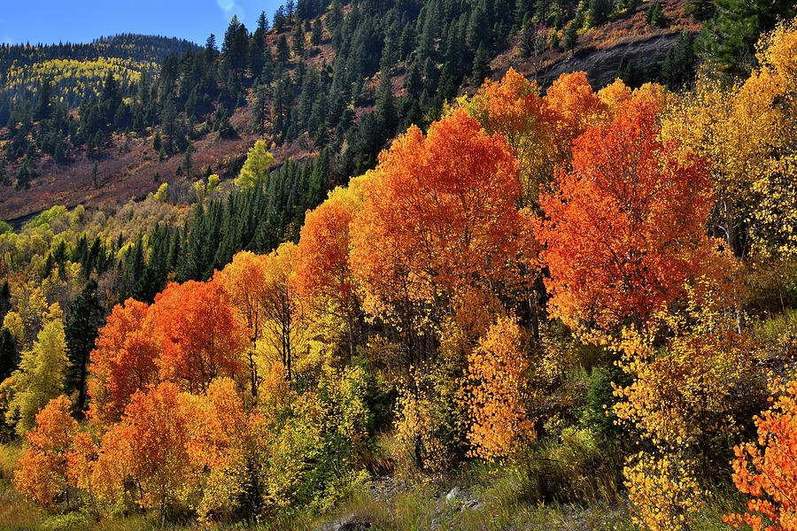 Fall Comes to McClure Pass Area Photograph by Ray Mathis