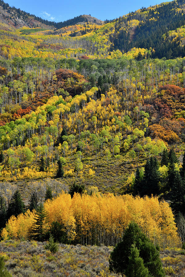 Fall Comes to Mountains along Highway 133 Photograph by Ray Mathis