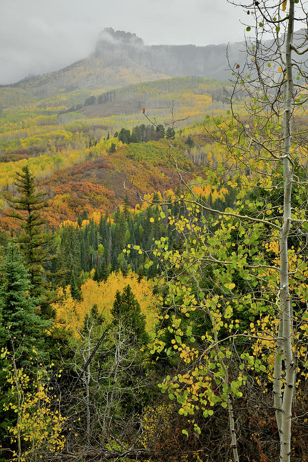 Fall Comes to Owl Creek Pass Photograph by Ray Mathis