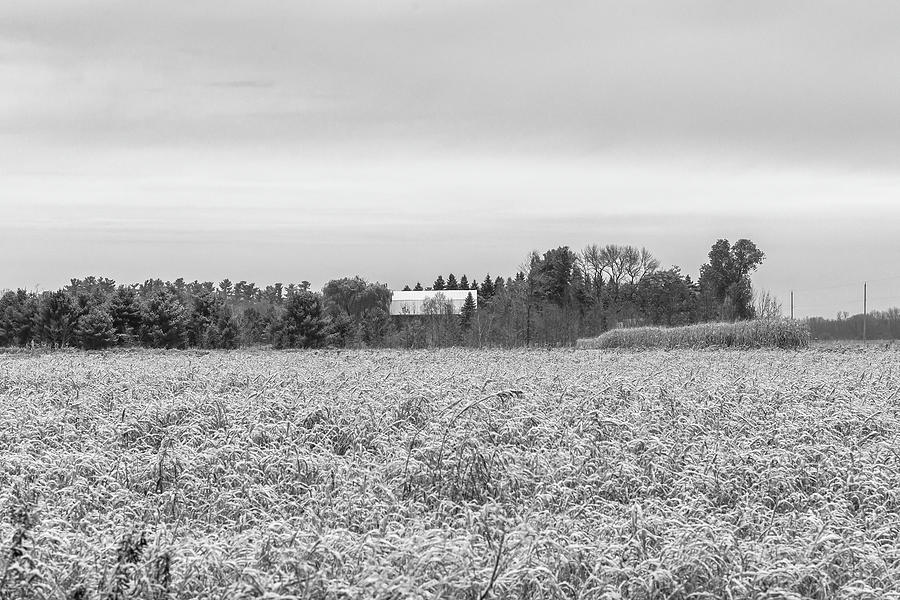 Fall Countryside In Wisconsin 2019 Photograph