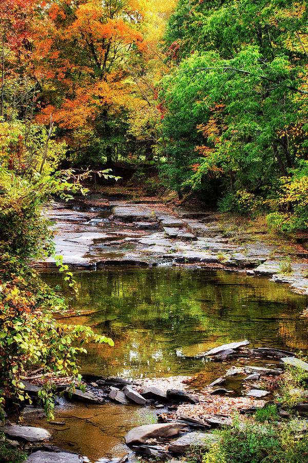 Fall Creek Photograph by Christina Rollo