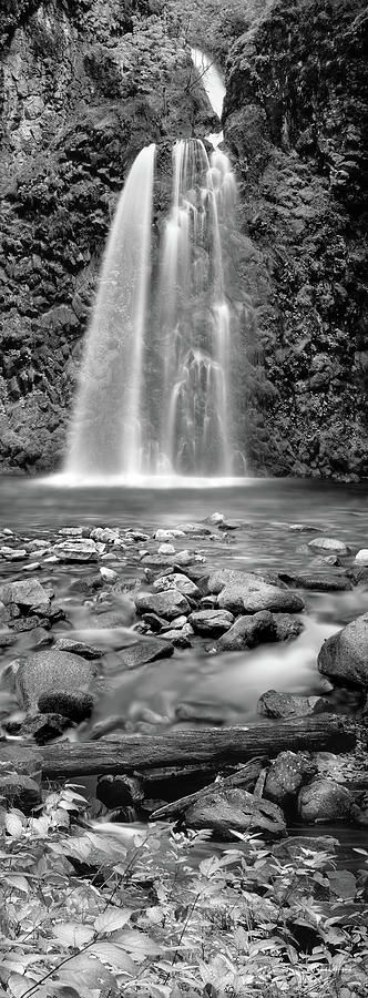 Fall Creek Photograph by Leland D Howard
