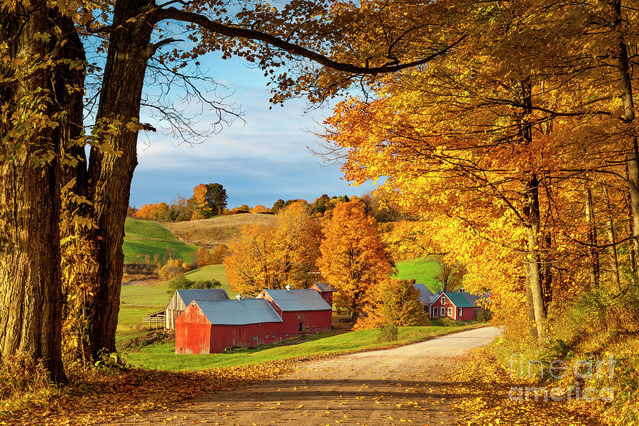 Fall Dawn in Vermont Photograph by Brian Jannsen
