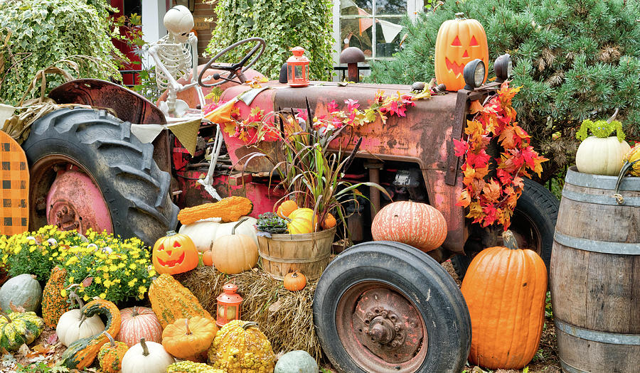 Fall Decor Photograph by Nick Mares