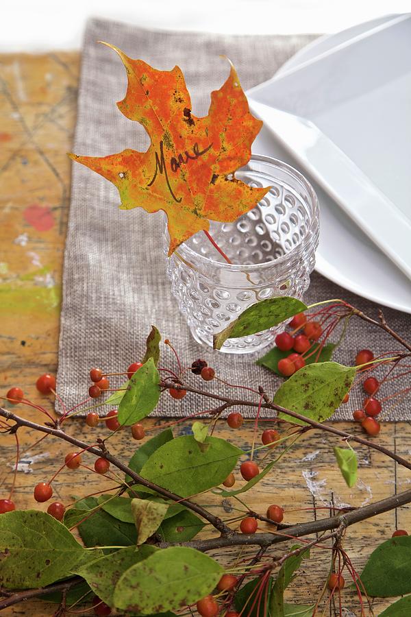 Fall Diner Celebration In The Country, Leaf Place Card Photograph by Andre Baranowski