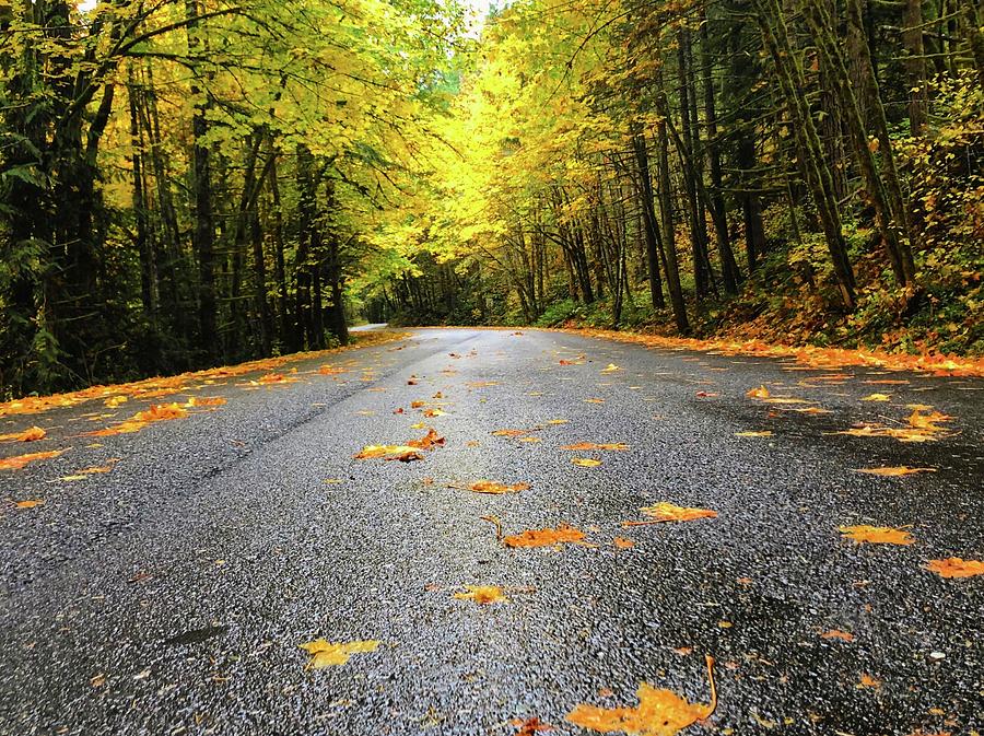 Fall Drive Photograph by Brian Eberly