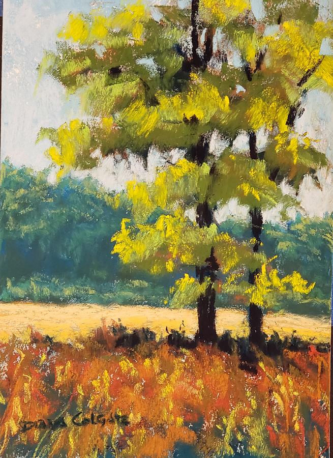 Fall Explosion Pastel by Diana Colgate